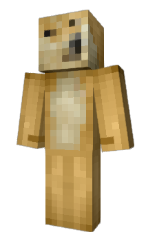 Minecraft skin Zebil