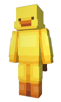Minecraft skin WNODW