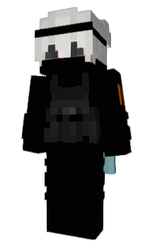 Minecraft skin taksovpalo