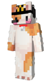 Minecraft skin polarsi