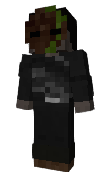 Minecraft скін по ніку FabyaDaTurle