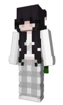 Minecraft skin Raymine4106