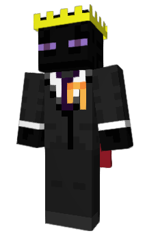 Minecraft skin Pro4D