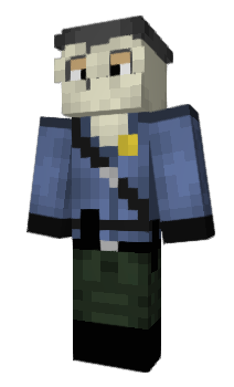 Minecraft skin Aksuli