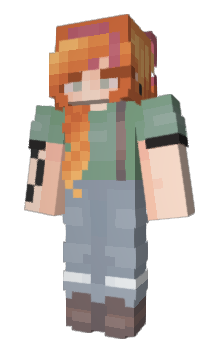 Minecraft skin pkke