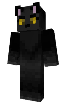 Minecraft skin Cheetu