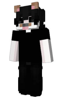 Minecraft skin andreeii