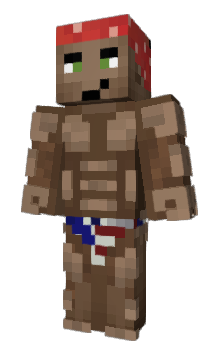 Minecraft skin s113