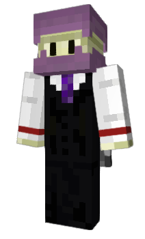 Minecraft skin Mr_Shulk