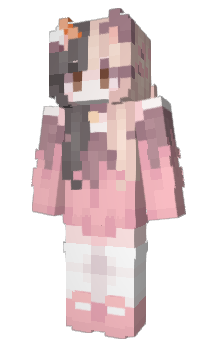 Minecraft skin NIAN030