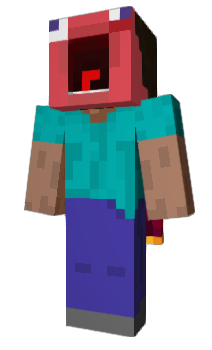 Minecraft skin 2DSHWATY