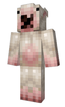 Minecraft skin megumimi