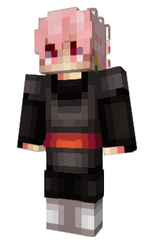 Minecraft скін по ніку Zippykk