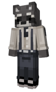 Minecraft skin raccoon__