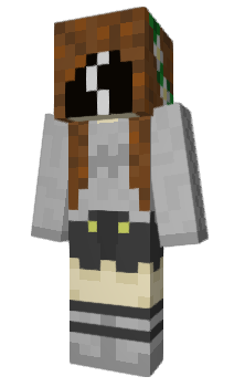 Minecraft skin Apexfrog