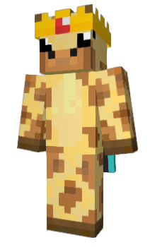 Minecraft skin NitayLol