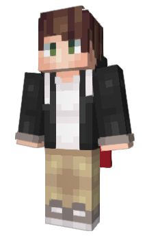 Minecraft skin flexnan