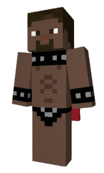 Minecraft skin qlag