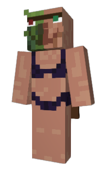 Minecraft skin Achmct