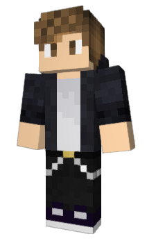 Minecraft skin _Race_