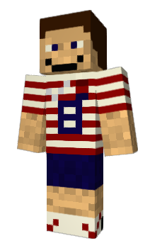 Minecraft skin AraJo