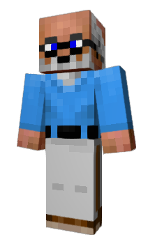 Minecraft скін по ніку Ewcam