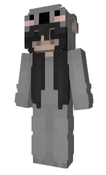 Minecraft skin Dudakkj