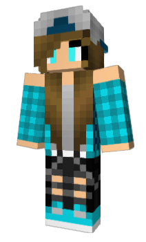 Minecraft skin Akive
