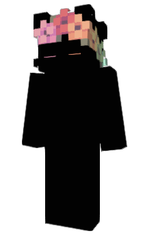 Minecraft skin Pcker