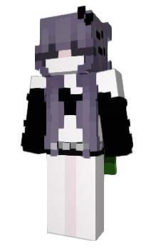 Minecraft skin wnam