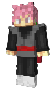 Minecraft skin 8339