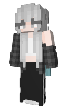 Minecraft skin ZHSZ