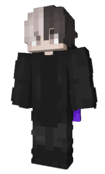 Minecraft skin qwentik