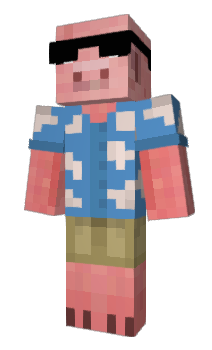 Minecraft skin dsij