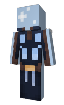 Minecraft skin CampBlock