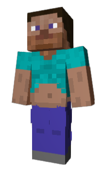 Minecraft skin tkd