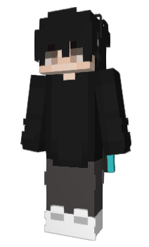 Minecraft skin whcss