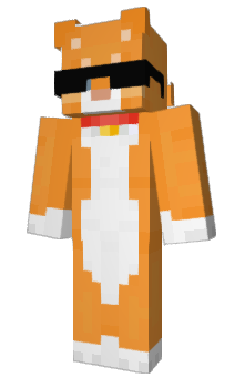 Minecraft skin Enjous