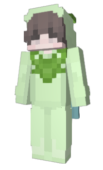 Minecraft skin hvaskld