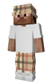 Minecraft skin oZip