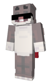 Minecraft skin Dronnes