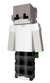 Minecraft skin qVogelSimon