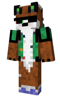 Minecraft skin ErkCT