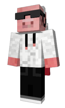 Minecraft skin PIG12