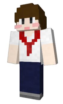 Minecraft скін по ніку stevecong