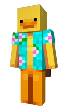 Minecraft skin R0wC4t