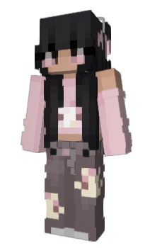 Minecraft skin Brawks