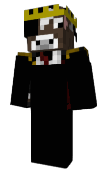 Minecraft skin oZink