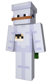 Minecraft skin Bidonqt