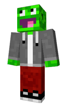 Minecraft skin Palionowy